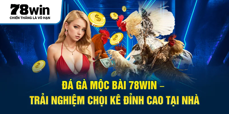 Đá Gà Mộc Bài 78Win – Trải Nghiệm Chọi Kê Đỉnh Cao Tại Nhà